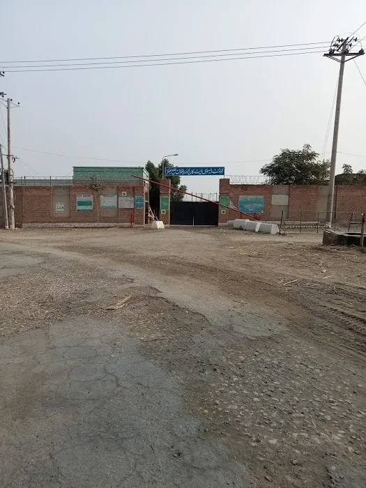 Govt Degree College for Boys Picture 5