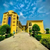 Ahmad Instituite Of Professional Studies ico