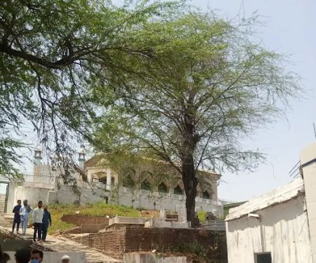 Govt Model Primary School (Boys), SHEIKH CHOGANI