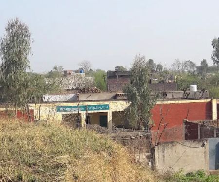 Govt Model Primary School (Boys), PIR HARA