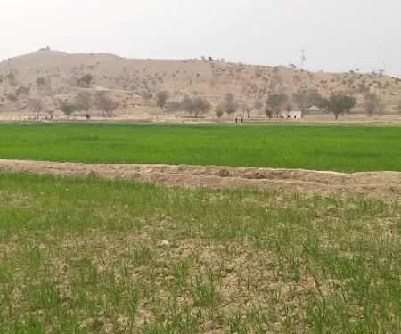 Government Primary School, Sir Kot