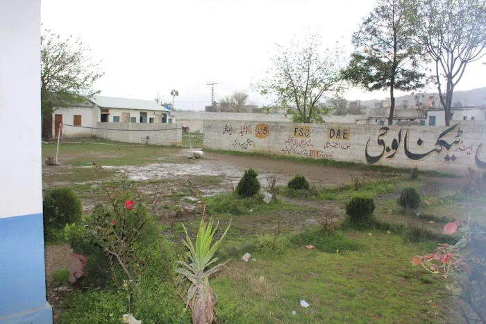 Bukhara Modek college timergar dir lower Picture 3