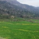 Govt primary school Batwar