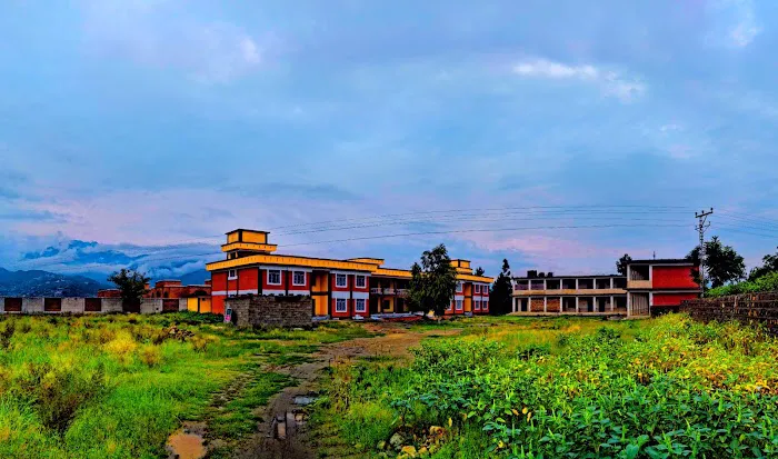 Government Postgraduate College Timergara Picture 6