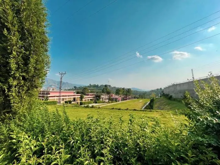 Abdul Wali Khan University Timergara Campus Picture 6
