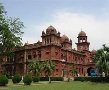 Most In-Demand Degrees in Pakistan 2025 – Top Fields for the Future