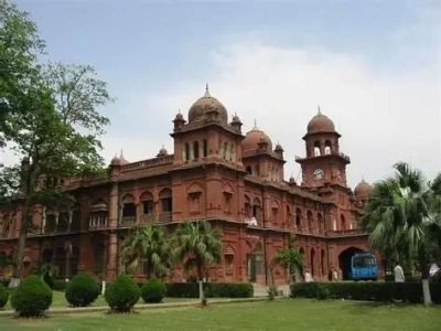 Most In-Demand Degrees in Pakistan 2025 – Top Fields for the Future